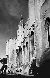 Avignon