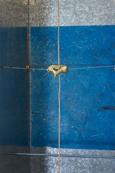 In broad Moonlight - Au grand jour - Agata Ingarden