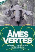 Ames vertes